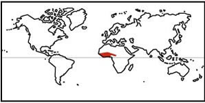African Fat Tailed Gecko Lizard Origination Map